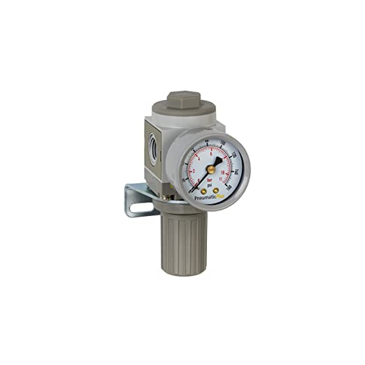 Buy SAR2000M-N02BG PneumaticPlus Miniature Air Pressure Regulator 1/4