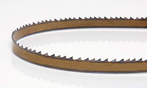 More info about best bandsaw blade for veneer