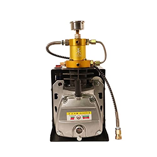 More info about best air compressor for paintball tanks